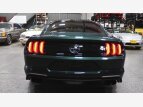 Thumbnail Photo 6 for 2019 Ford Mustang